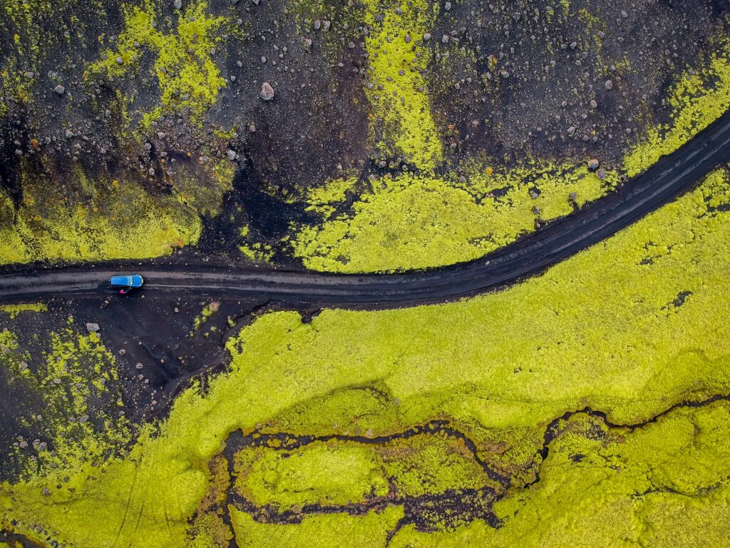 Aerial view of a car on a black earth road surrounded by green.