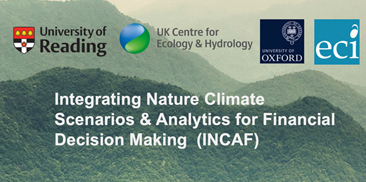 Graphic reads: integrating nature climate scenarios and analytics for financial decision making (INCAF).